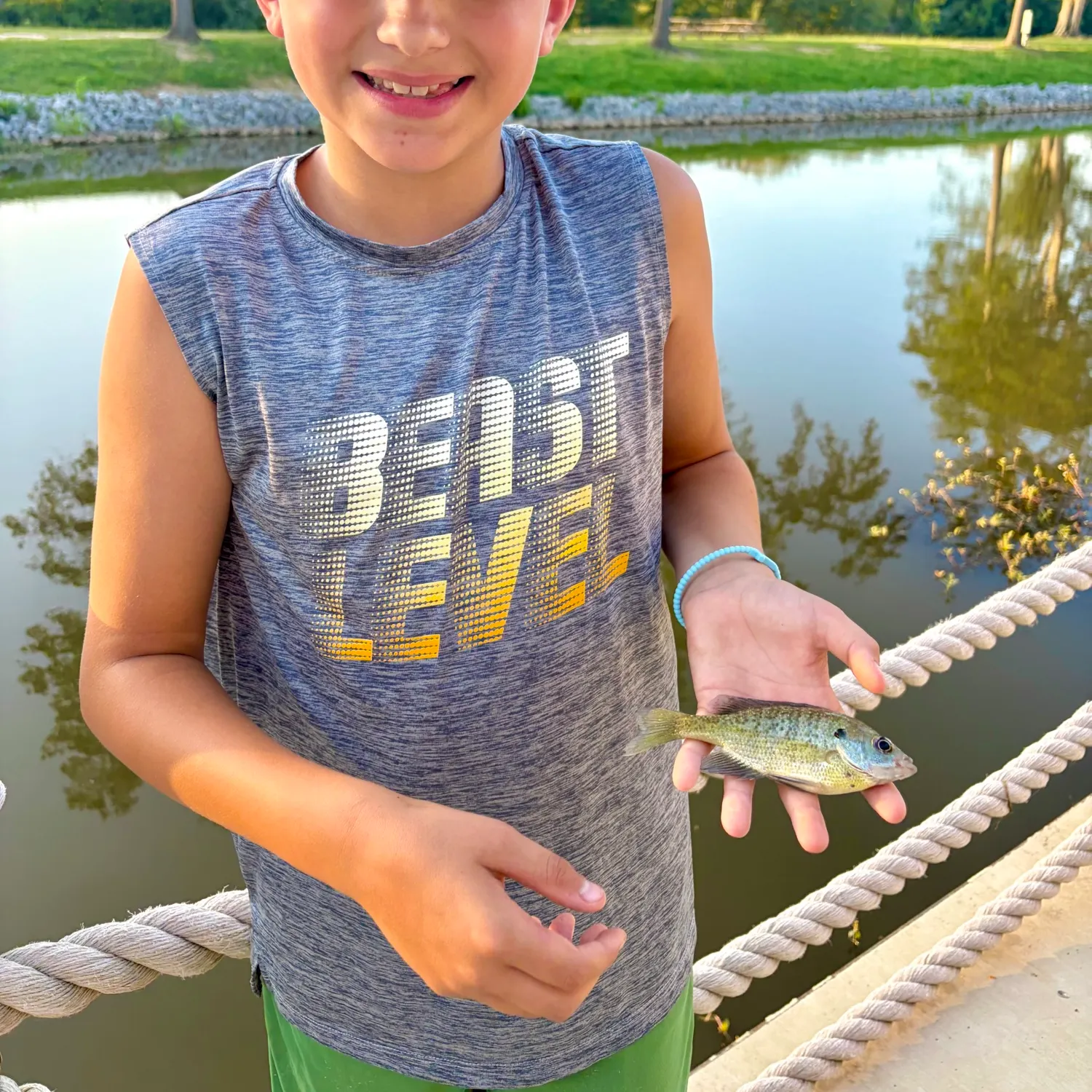 The most recent Spotted sunfish catches on Fishbrain
