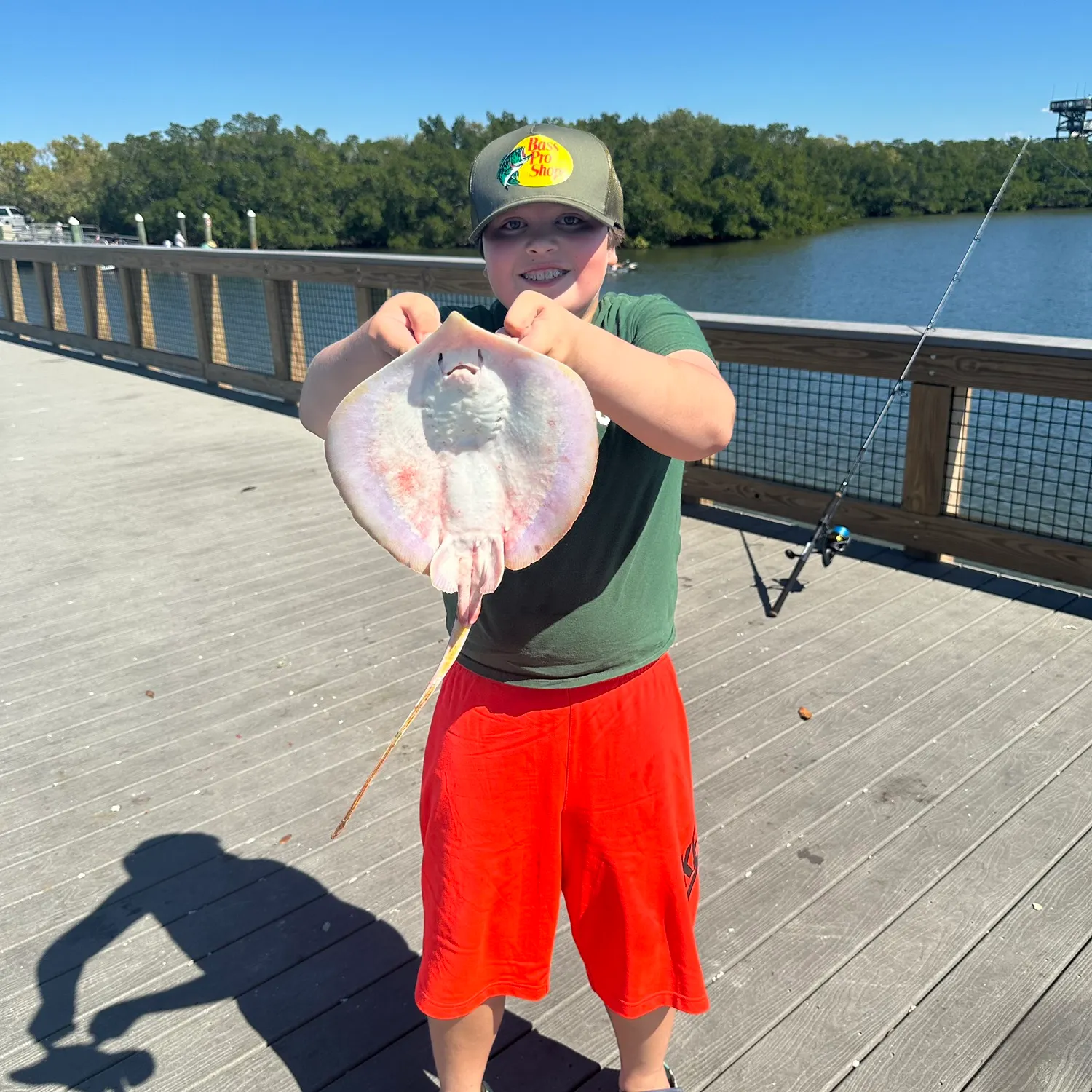 The most recent Southern stingray catches on Fishbrain