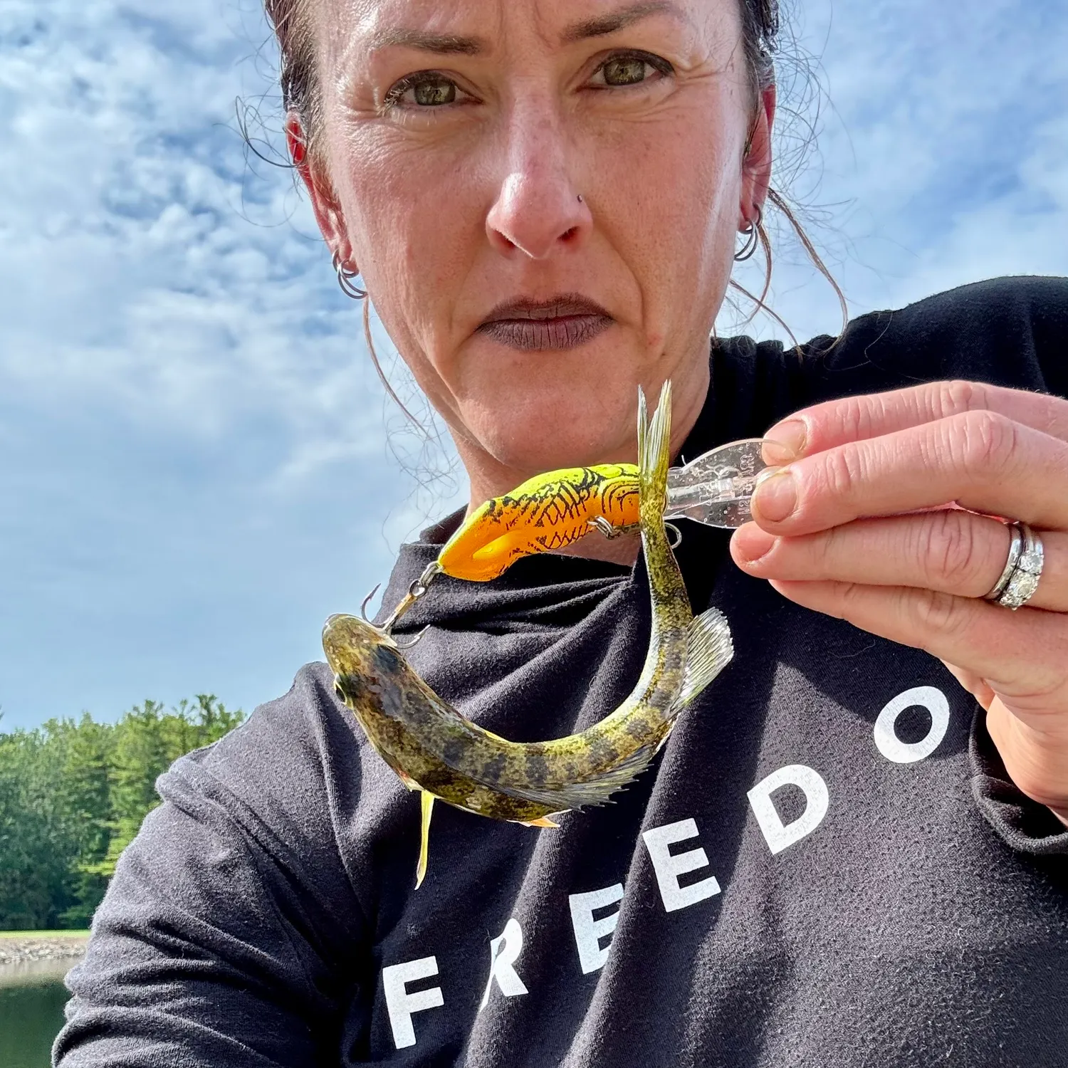 Yellow perch caught on Fishbrain