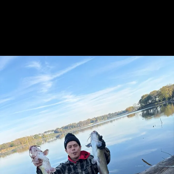 Channel catfish caught on Fishbrain