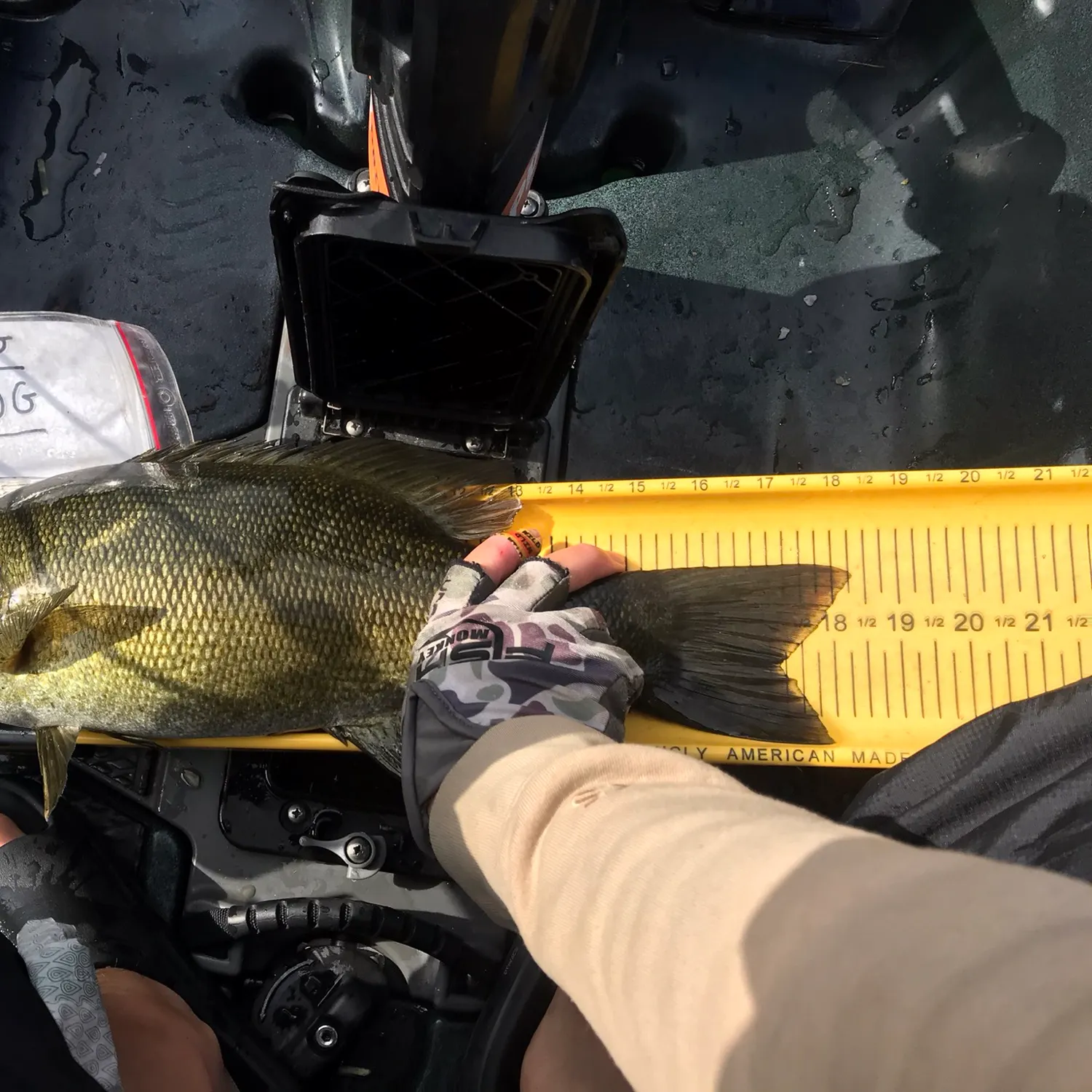 Fish caught on Fishbrain