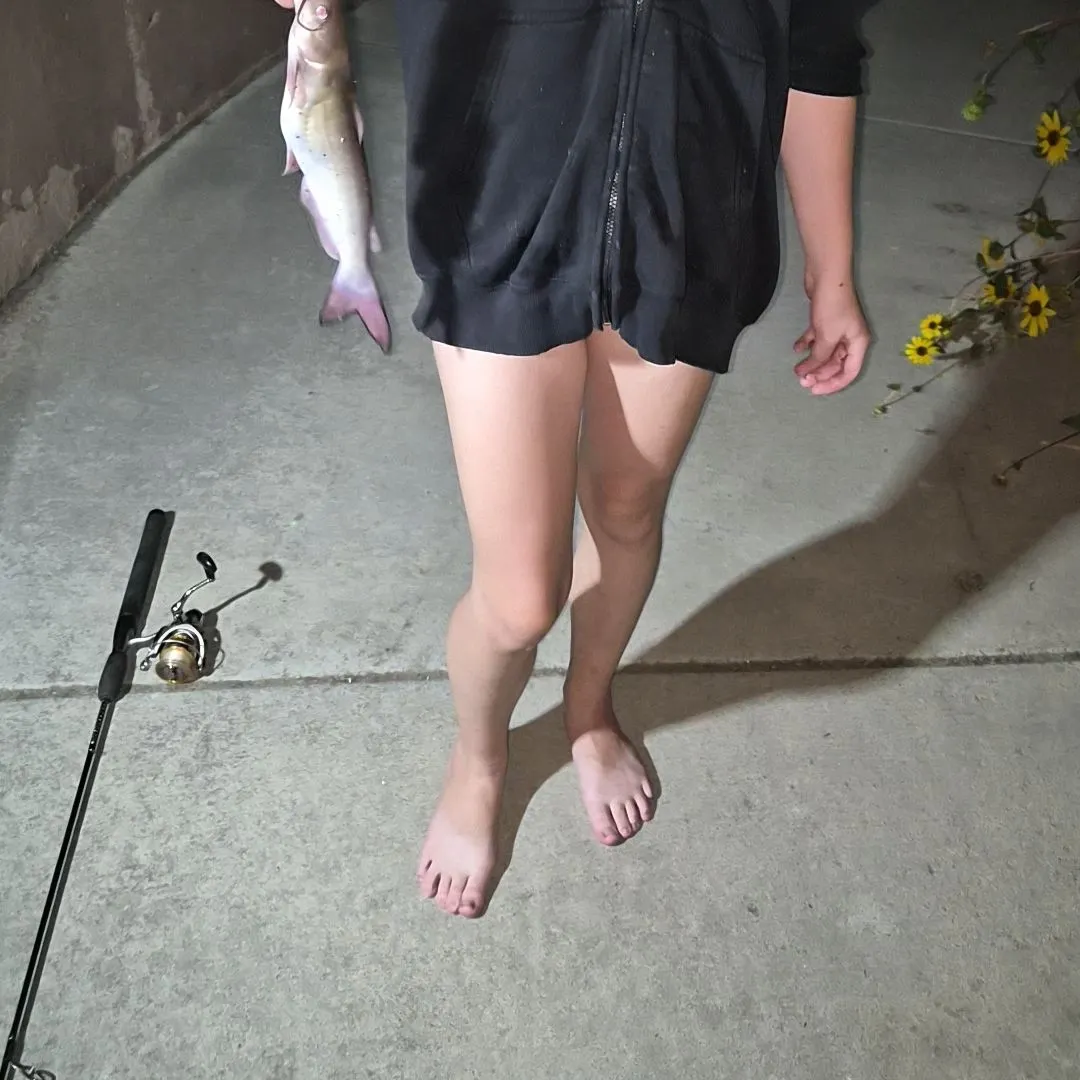 Channel catfish caught on Fishbrain