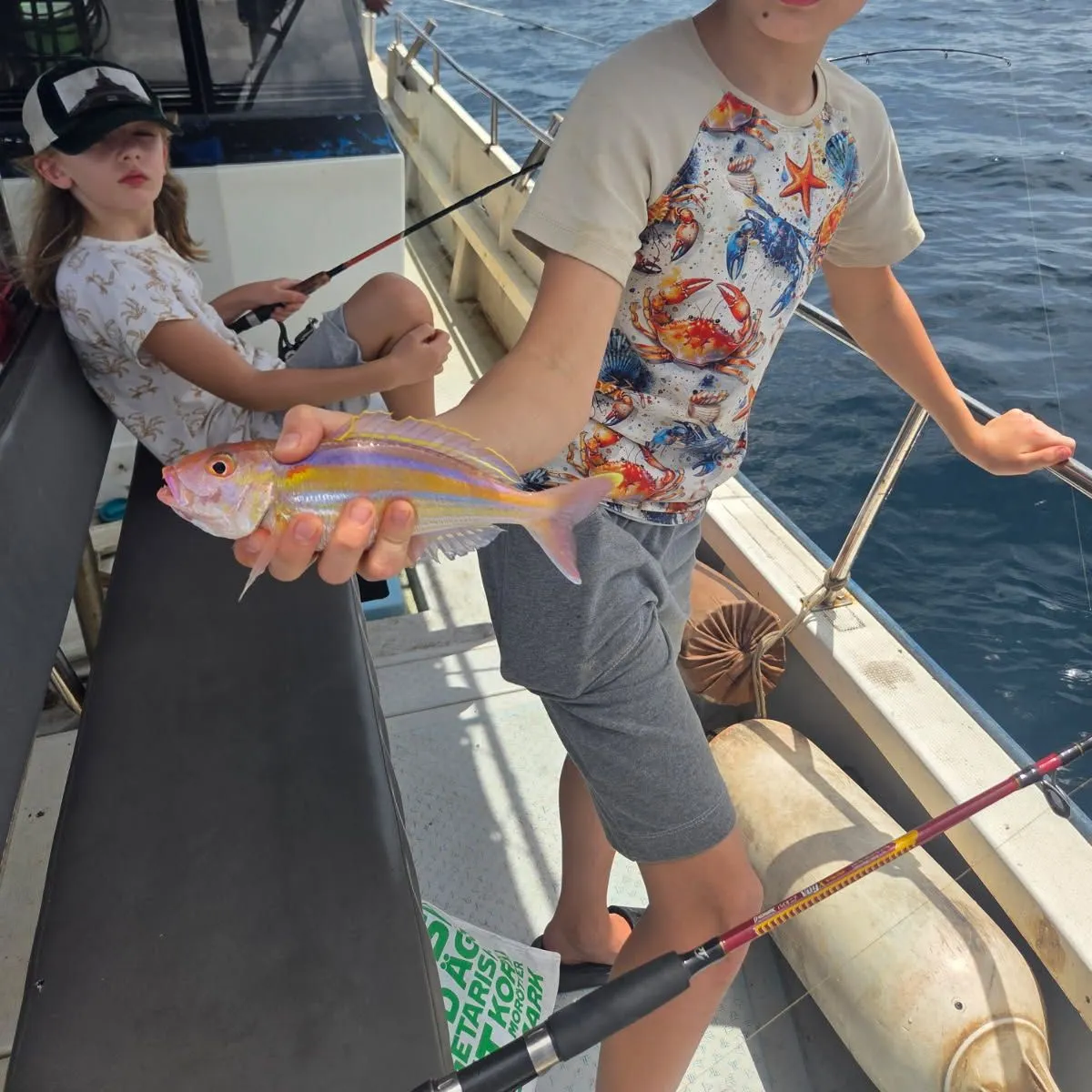 The most recent Yellowtail snapper catches on Fishbrain