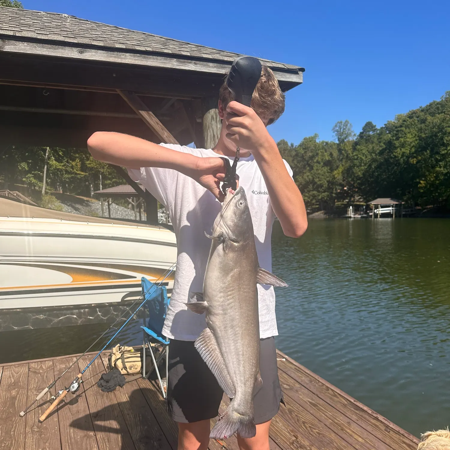 Blue catfish caught on Fishbrain
