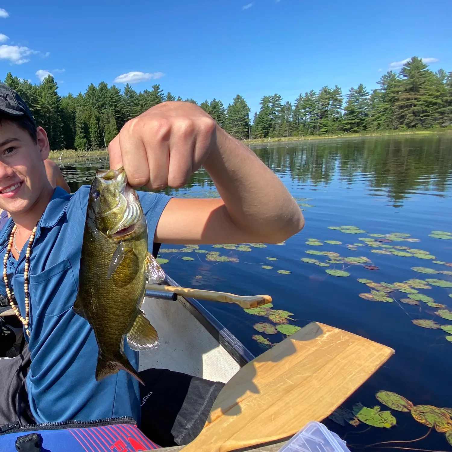 Smallmouth bass caught on Fishbrain