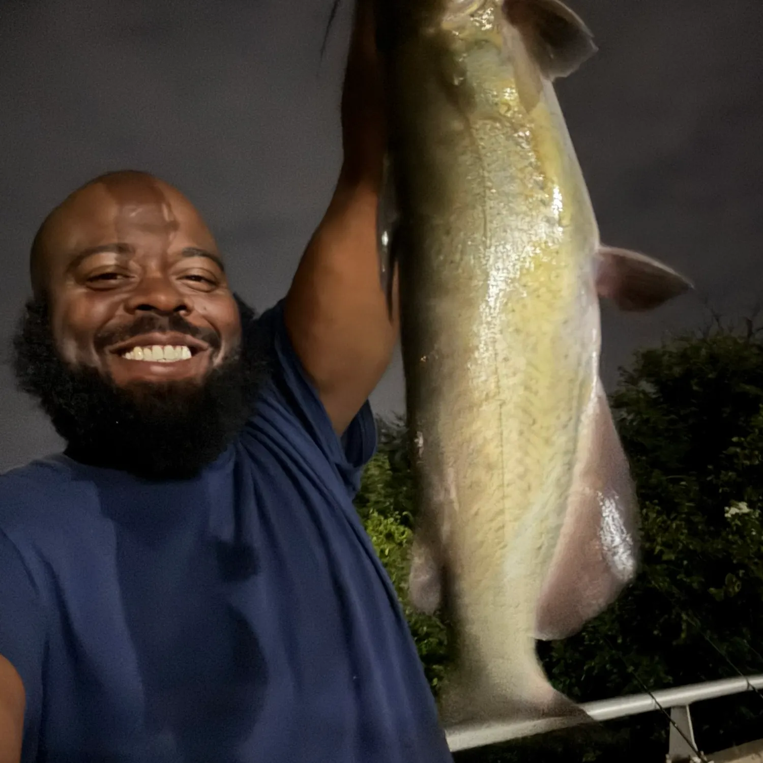 Channel catfish caught on Fishbrain