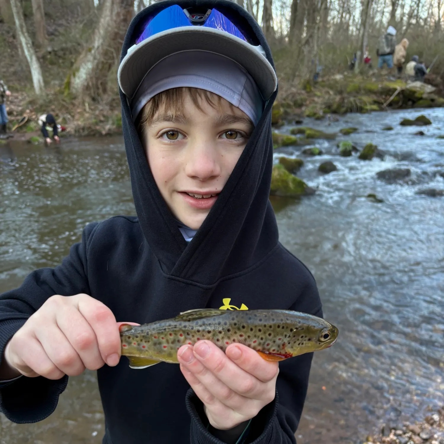 The most recent Brown trout catches on Fishbrain
