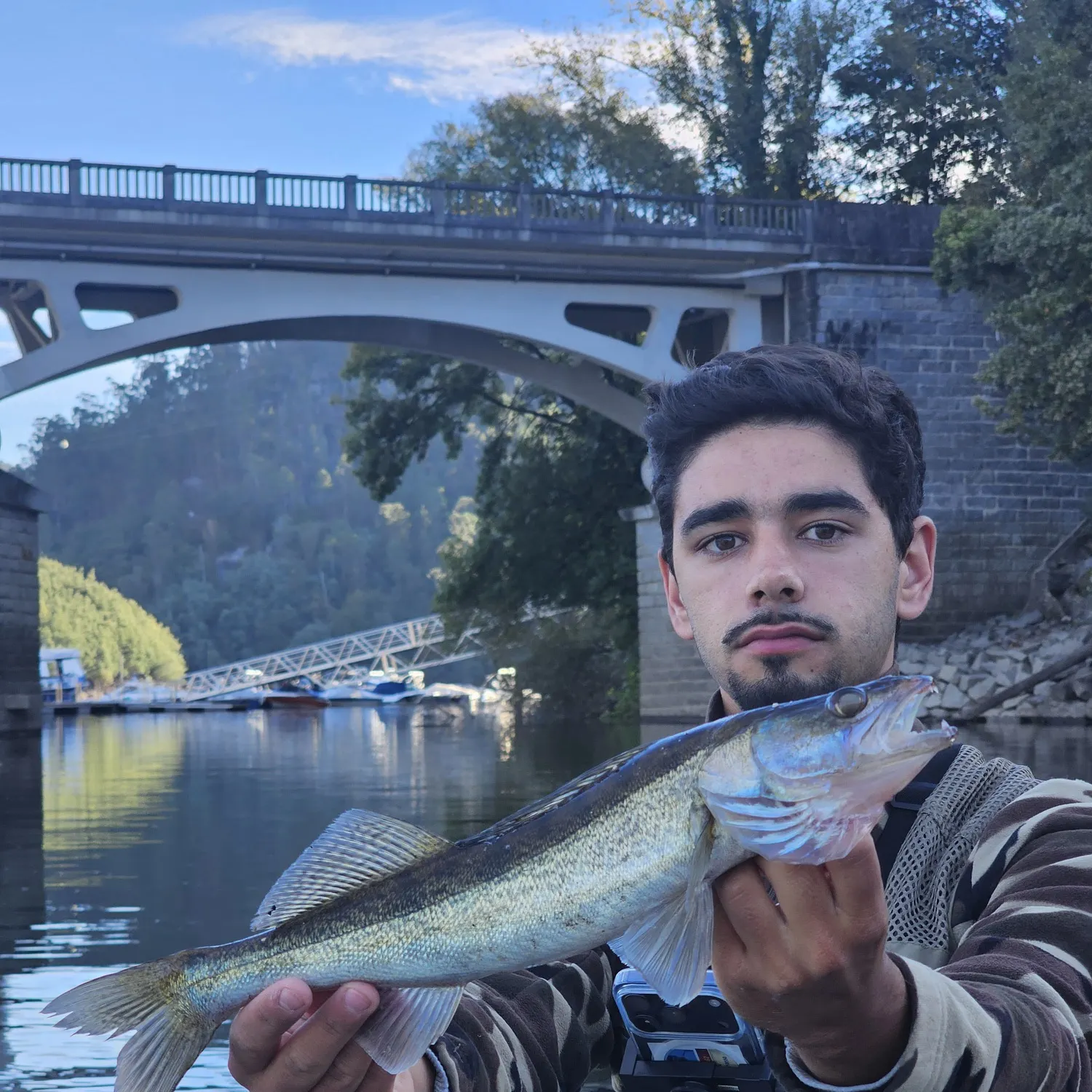 Zander caught on Fishbrain