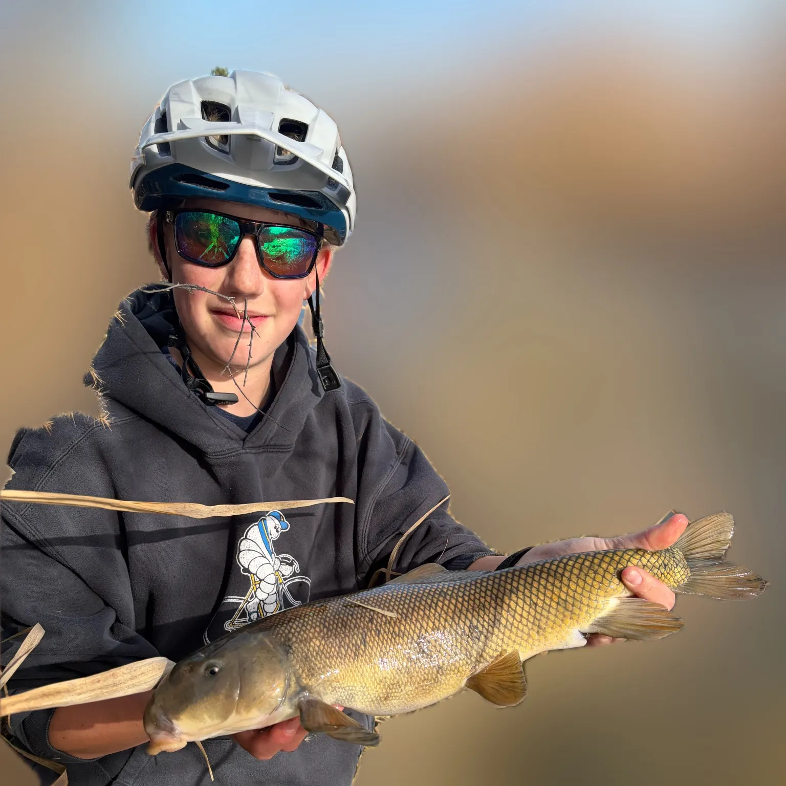 The most recent Utah sucker catches on Fishbrain