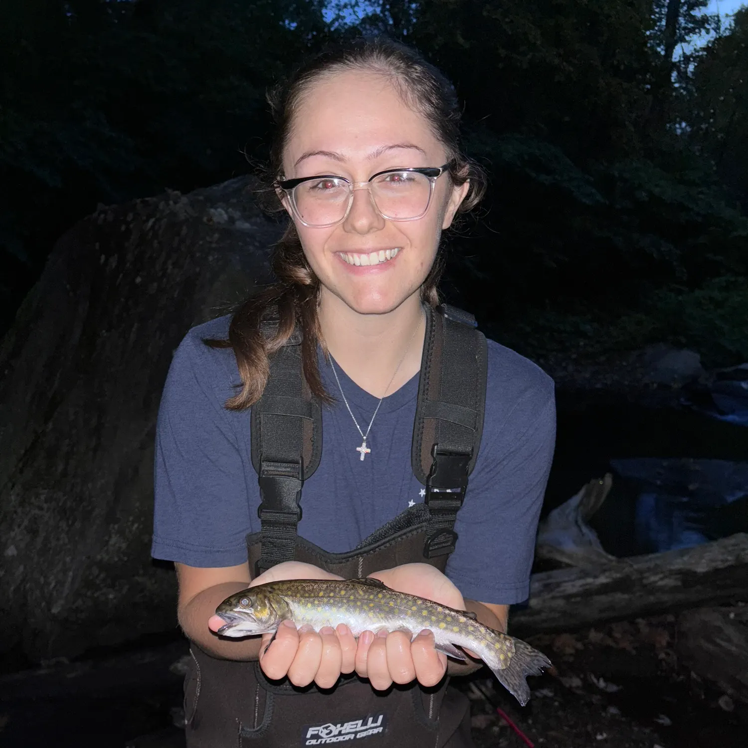 Brook trout caught on Fishbrain