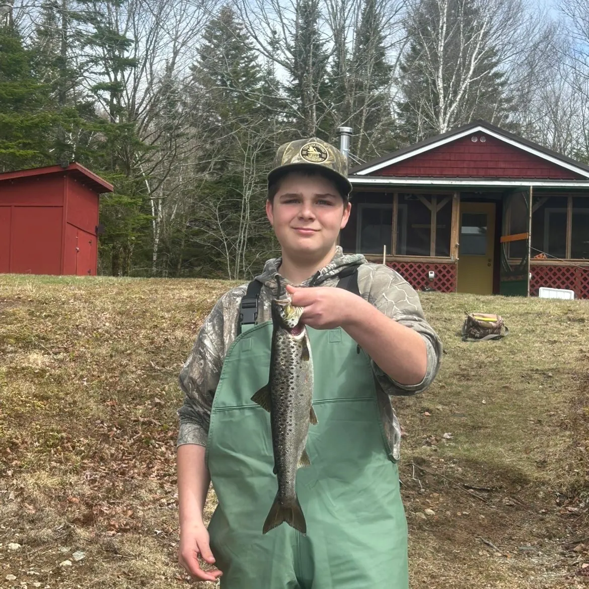 The most recent Landlocked atlantic salmon catches on Fishbrain