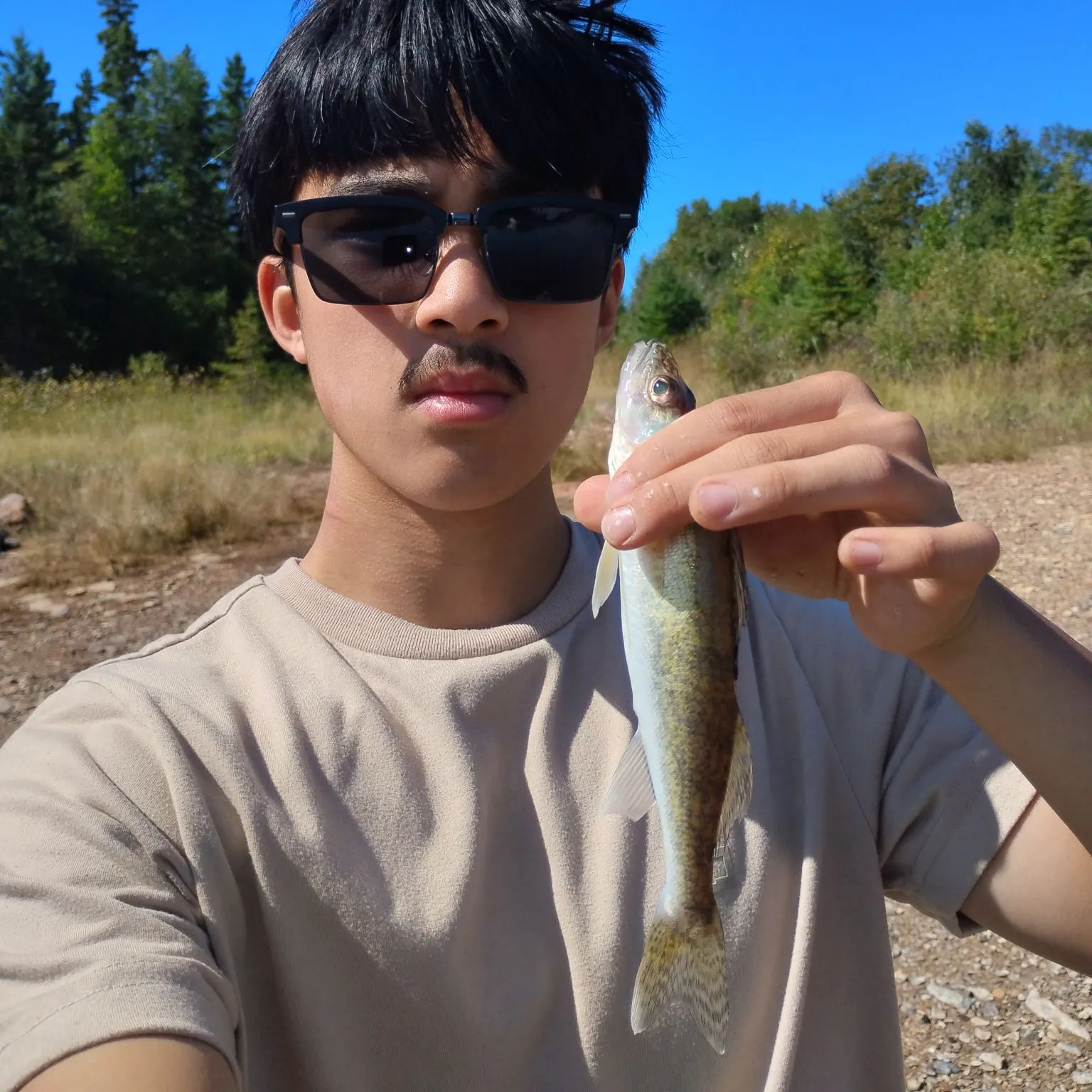 Walleye caught on Fishbrain