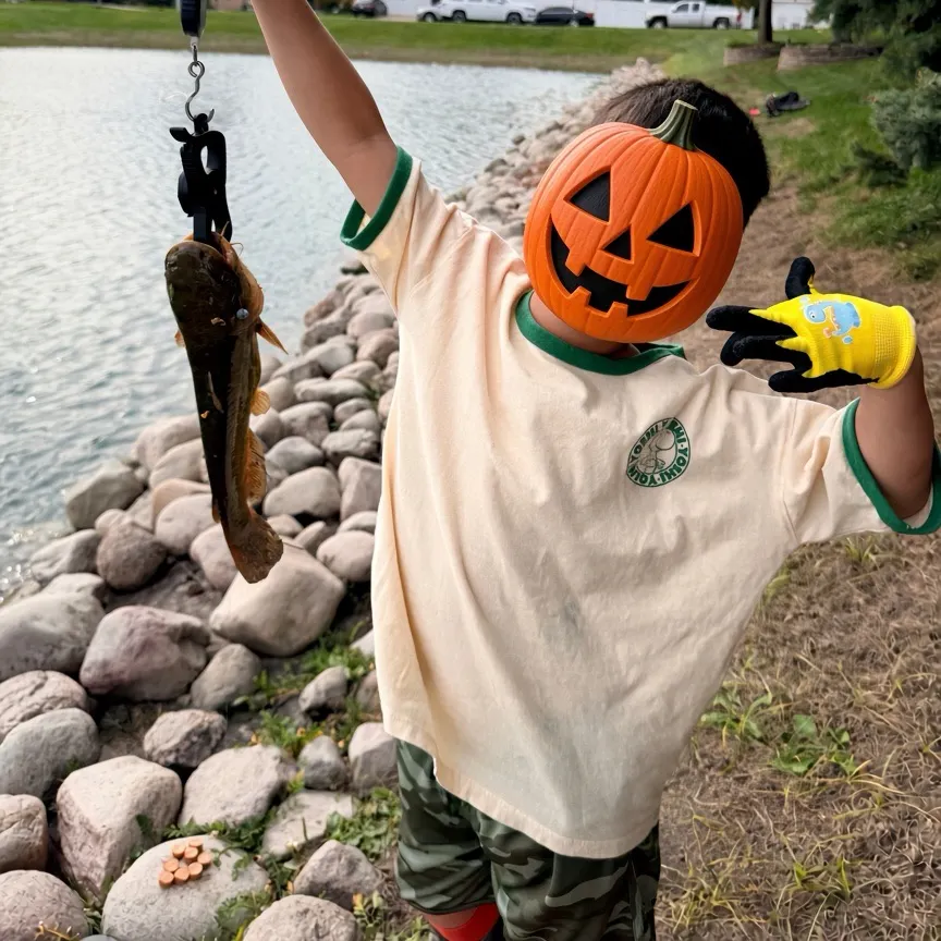 Yellow bullhead caught on Fishbrain
