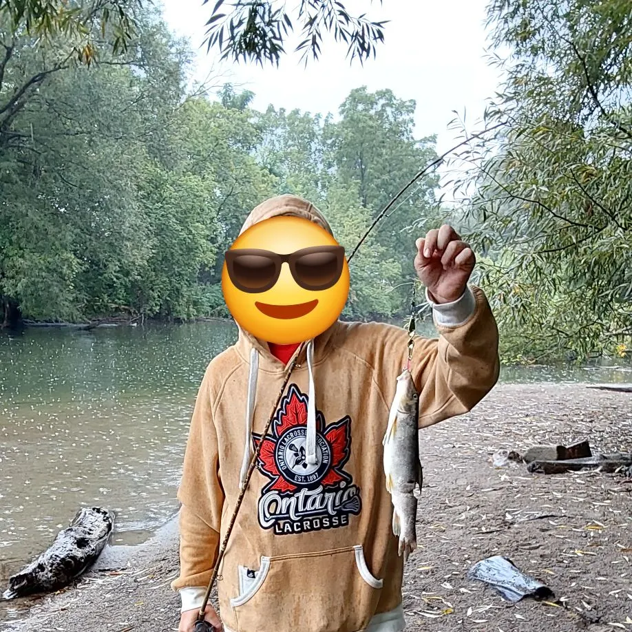 Common carp caught on Fishbrain