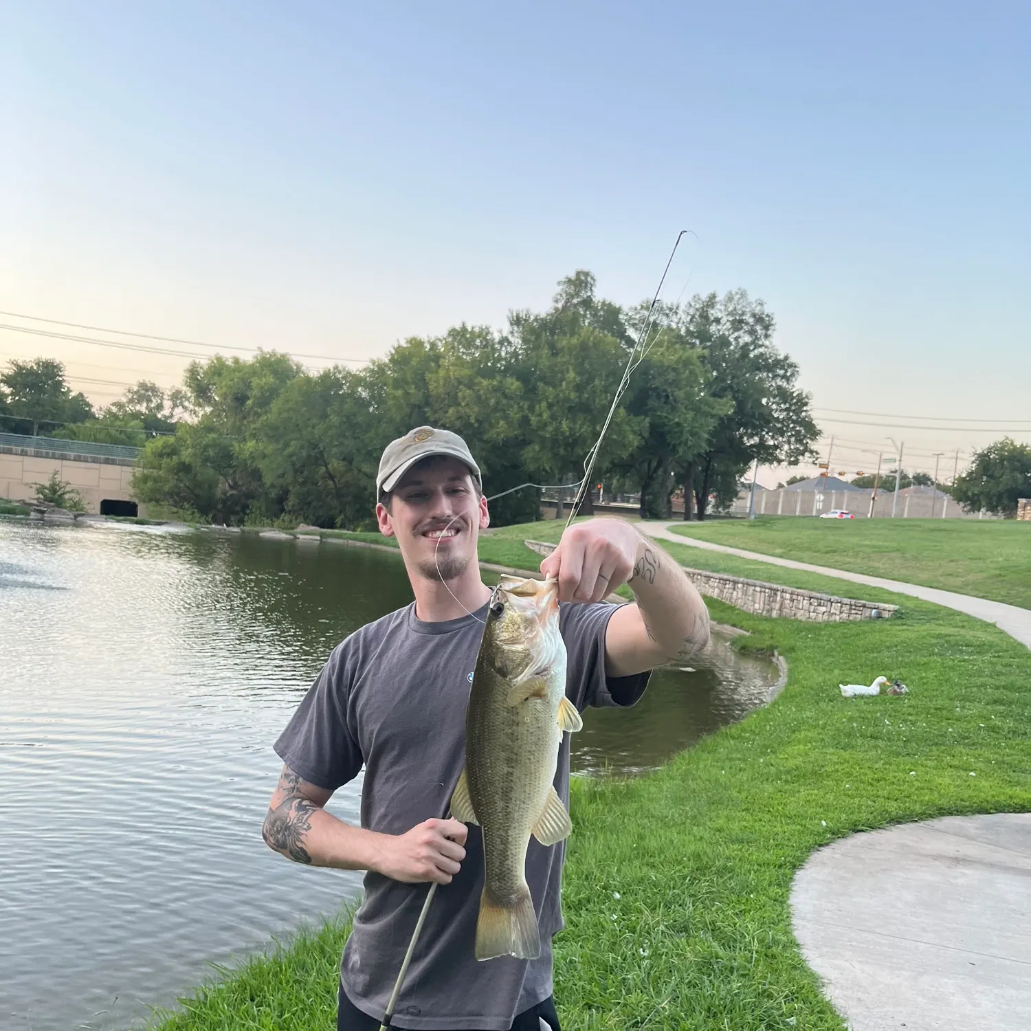 Largemouth bass caught on Fishbrain