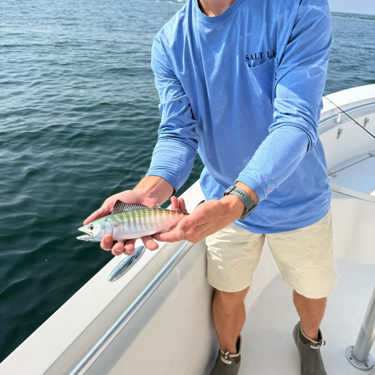 The most recent Atlantic bonito catches on Fishbrain