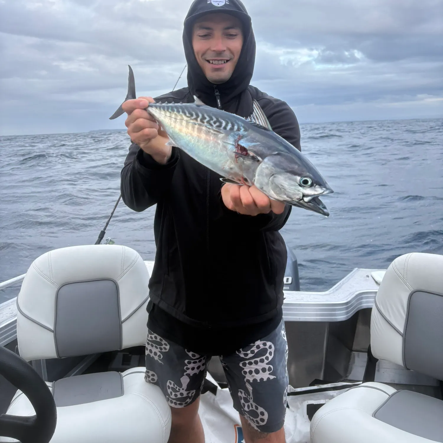 The most recent Kawakawa catches on Fishbrain