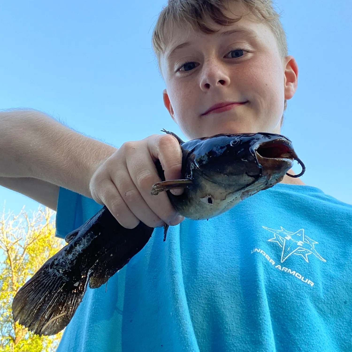 Black bullhead caught on Fishbrain