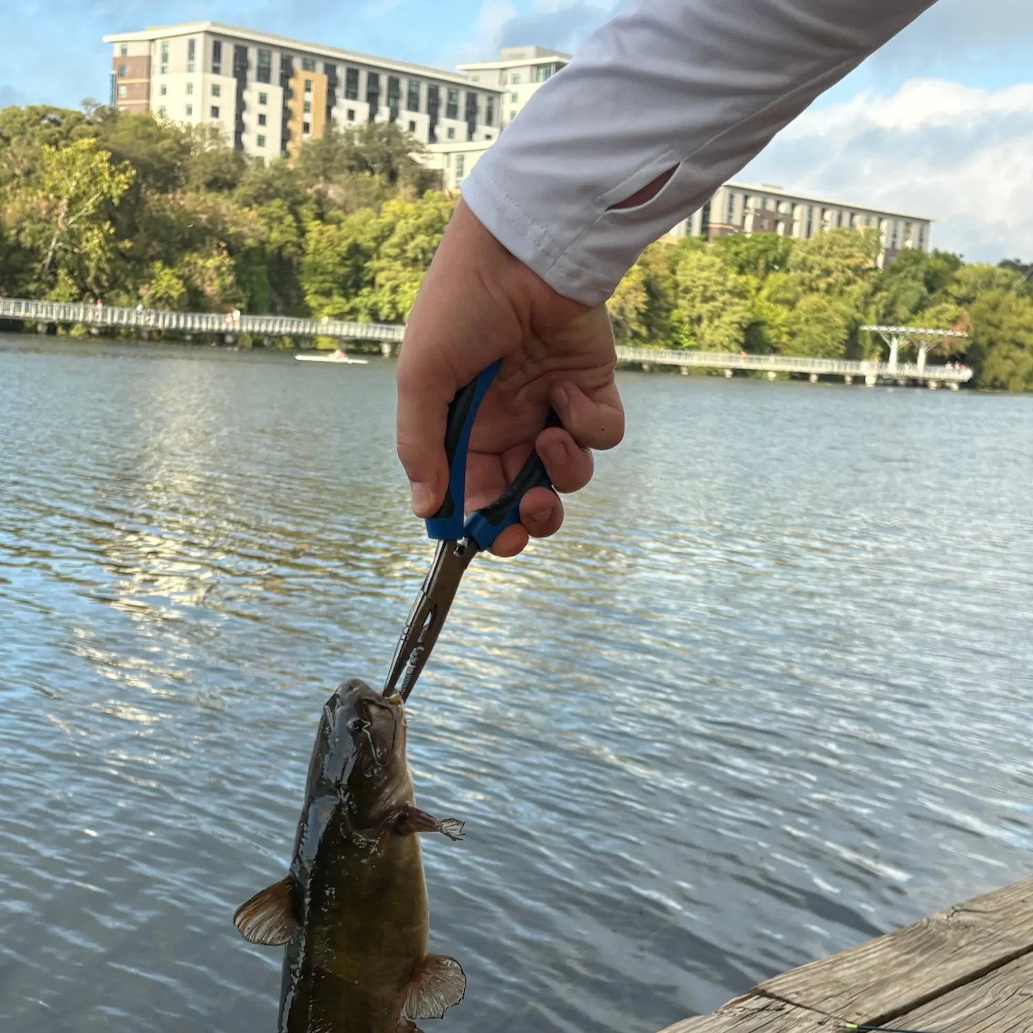 catch