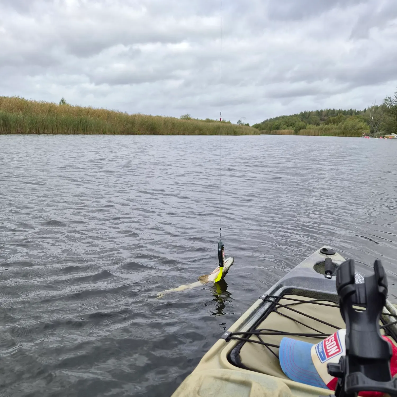 Northern pike caught on Fishbrain