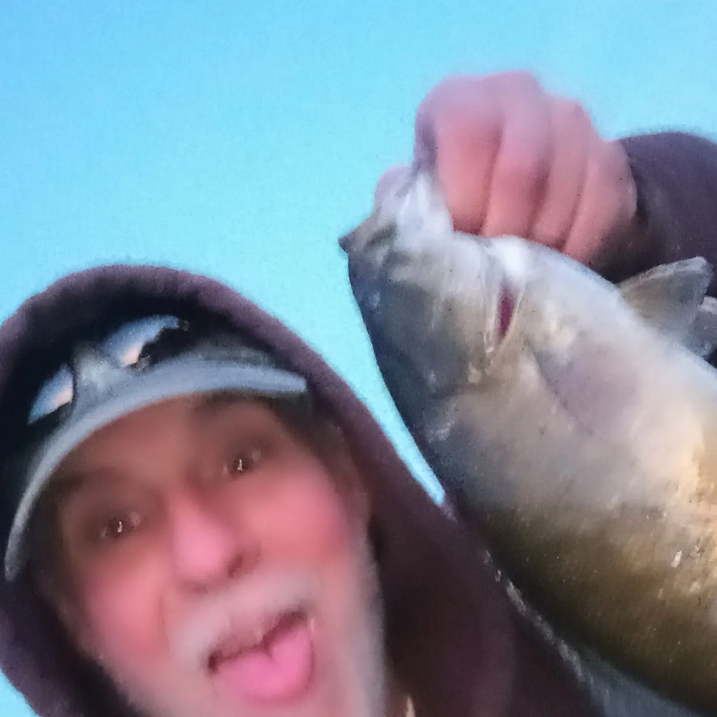 Smallmouth bass caught on Fishbrain