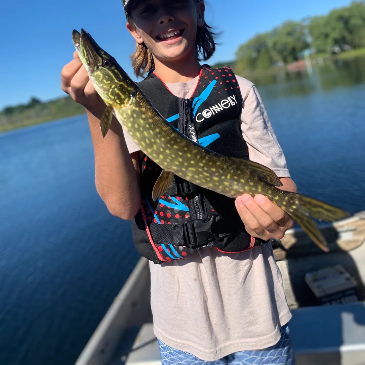 Northern pike caught on Fishbrain