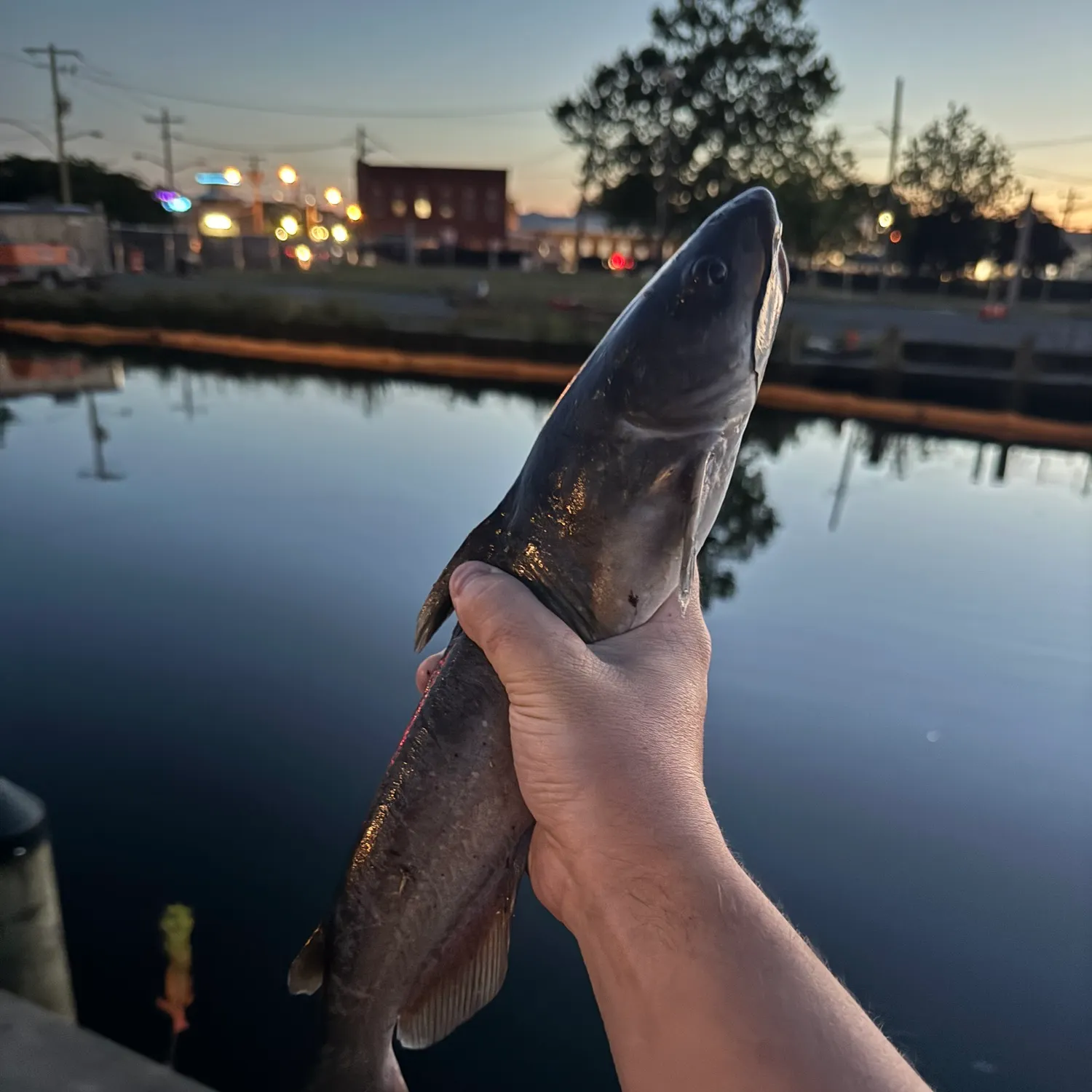 catch
