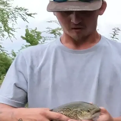 Tiger trout caught on Fishbrain