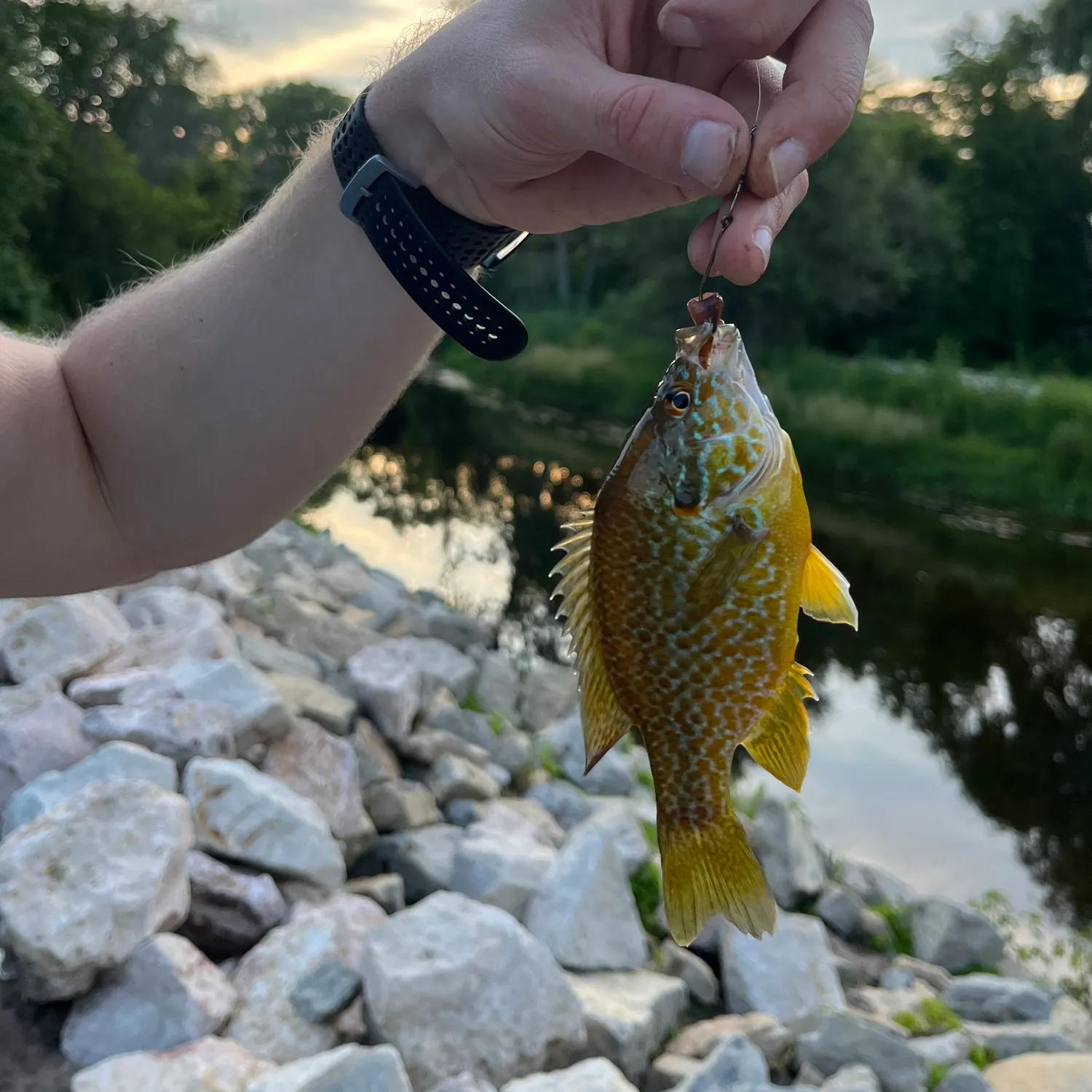 catch