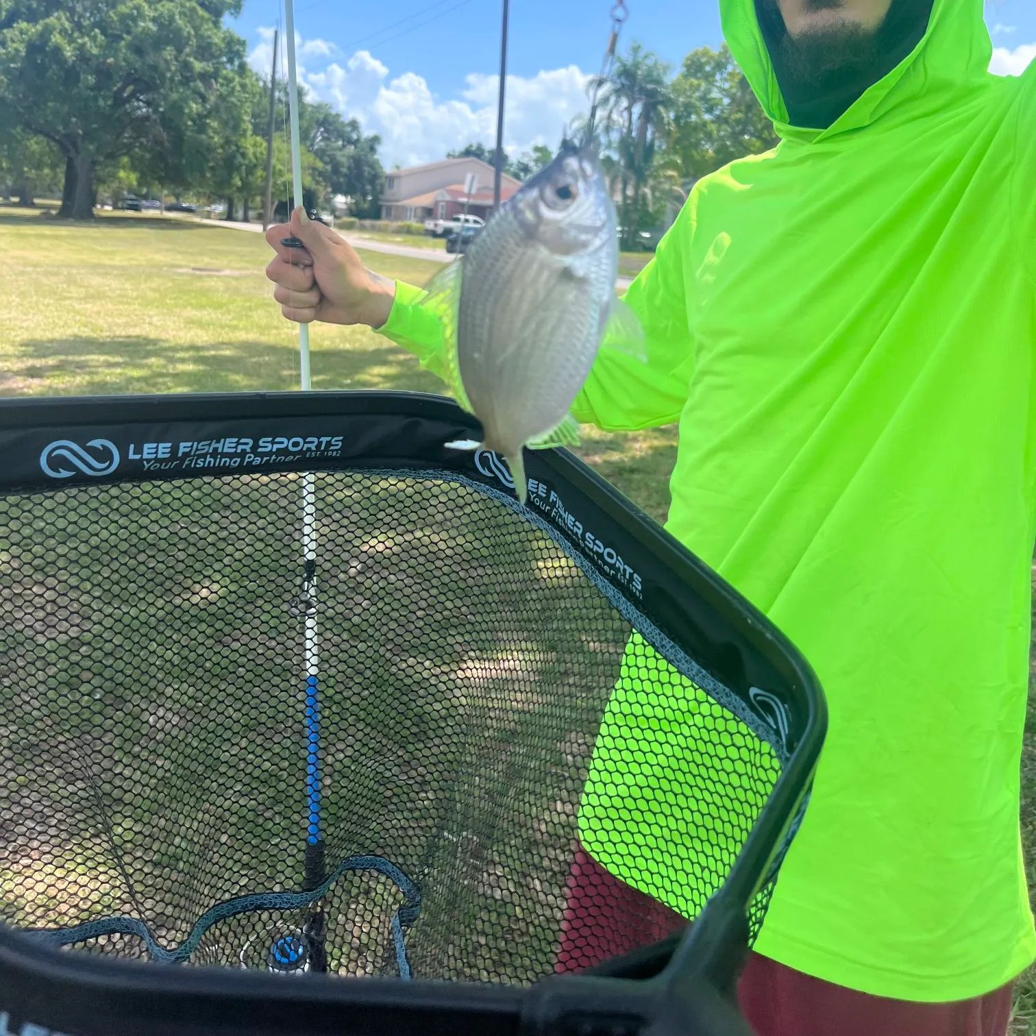 The most recent Silver jenny catches on Fishbrain