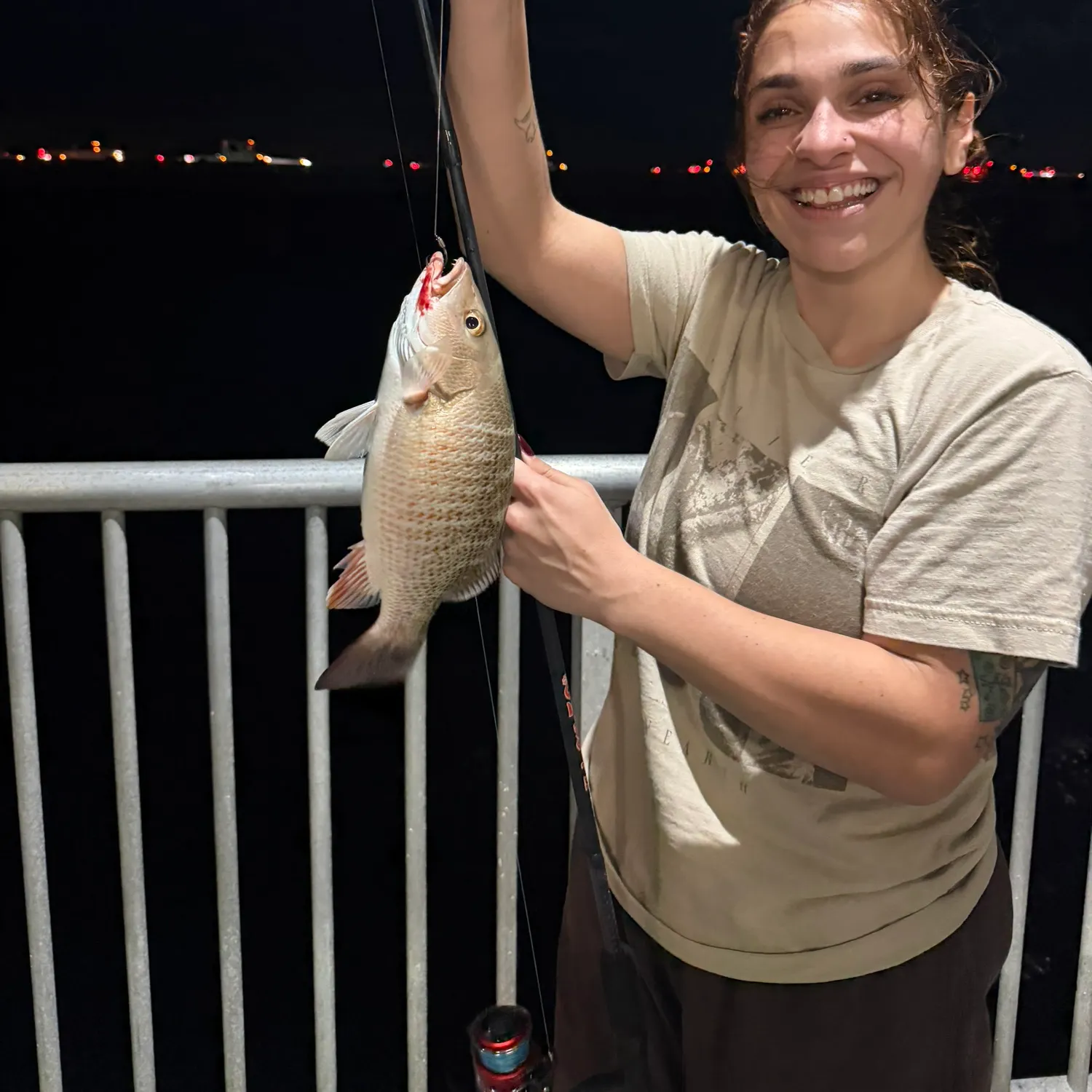 Mangrove snapper caught on Fishbrain