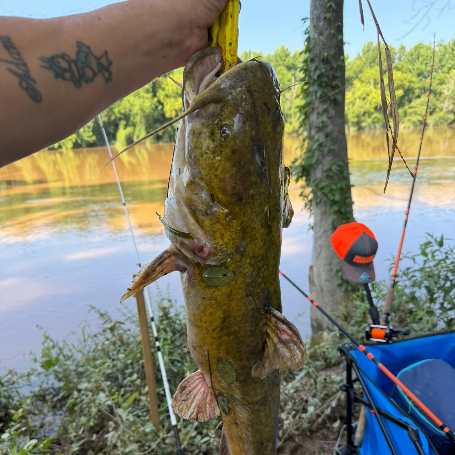 catch