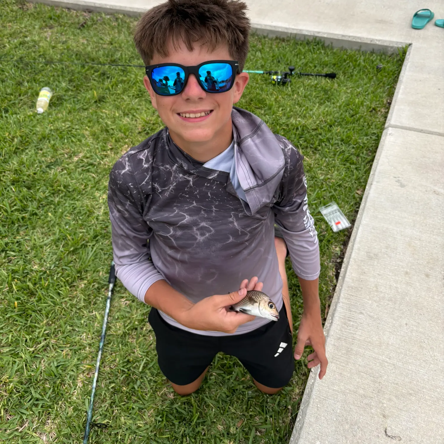 The most recent Sailor's choice grunt catches on Fishbrain