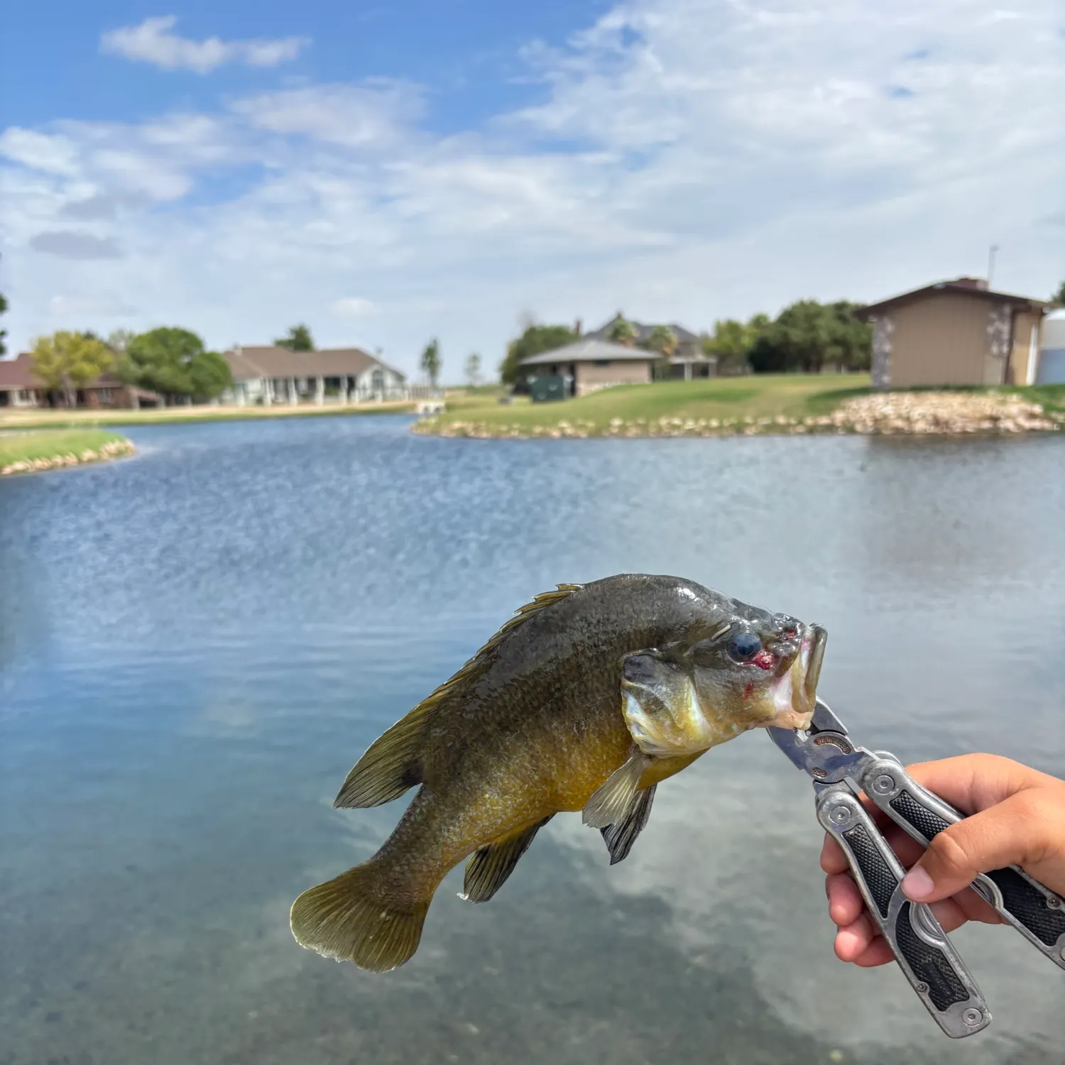 catch