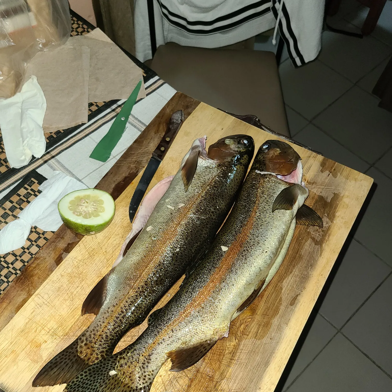 recently logged catches