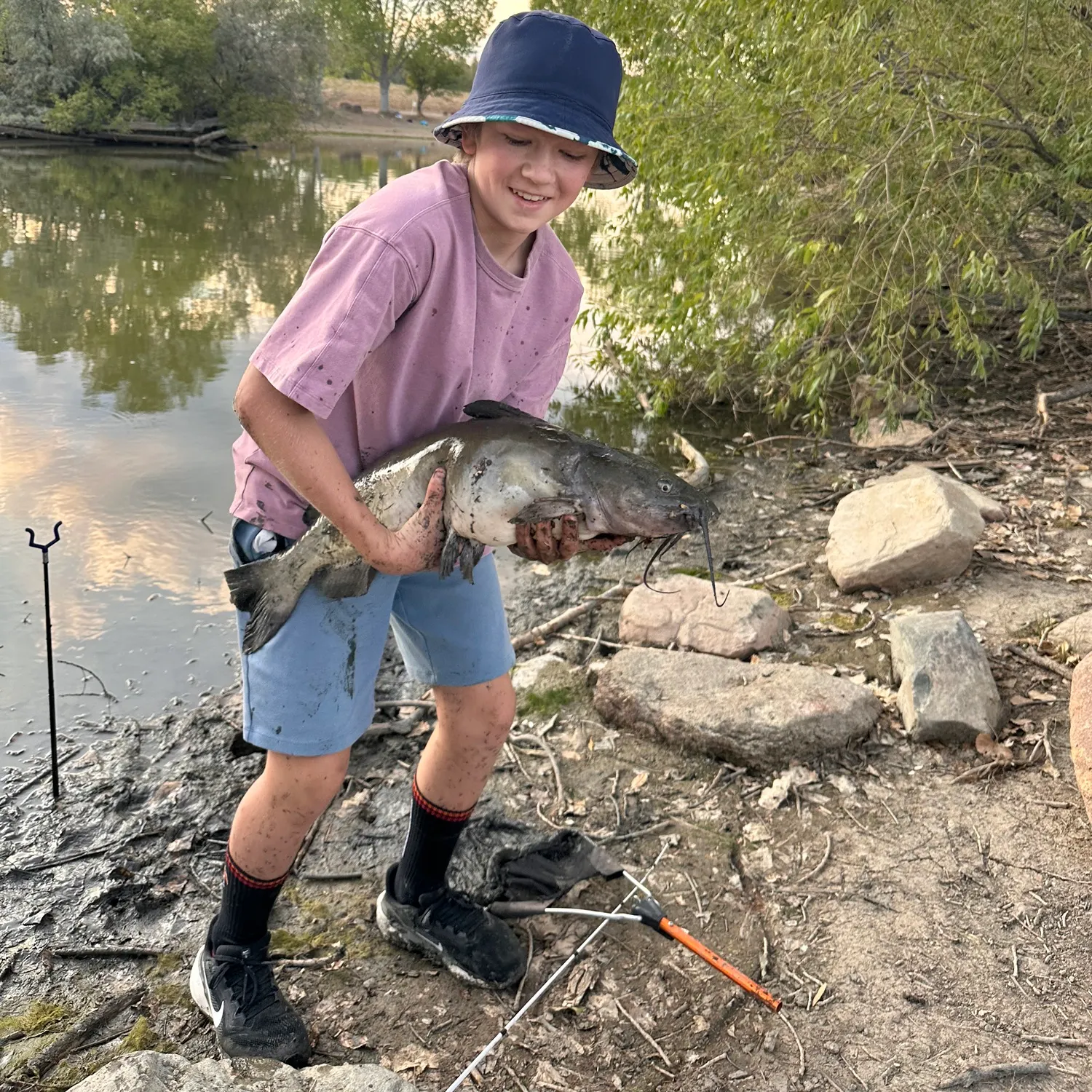 Channel catfish caught on Fishbrain