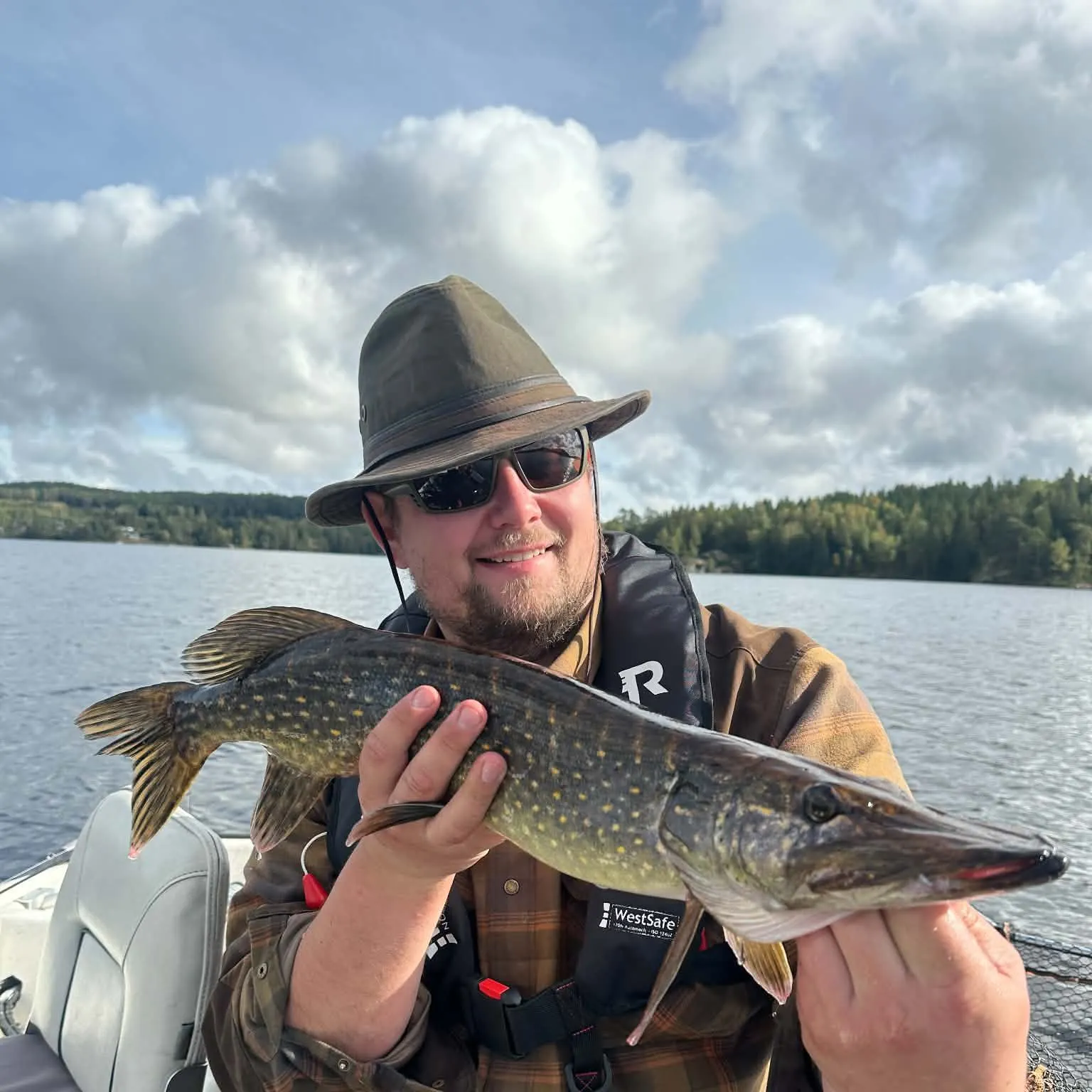 Northern pike caught on Fishbrain