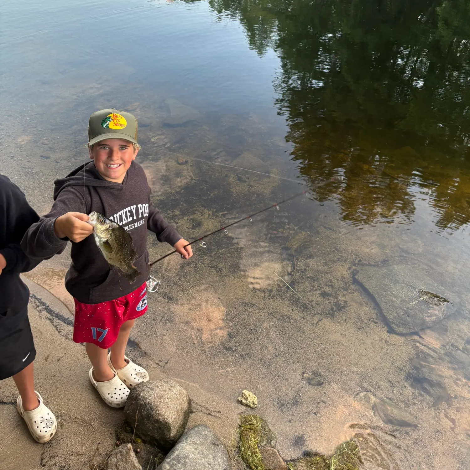 White perch caught on Fishbrain