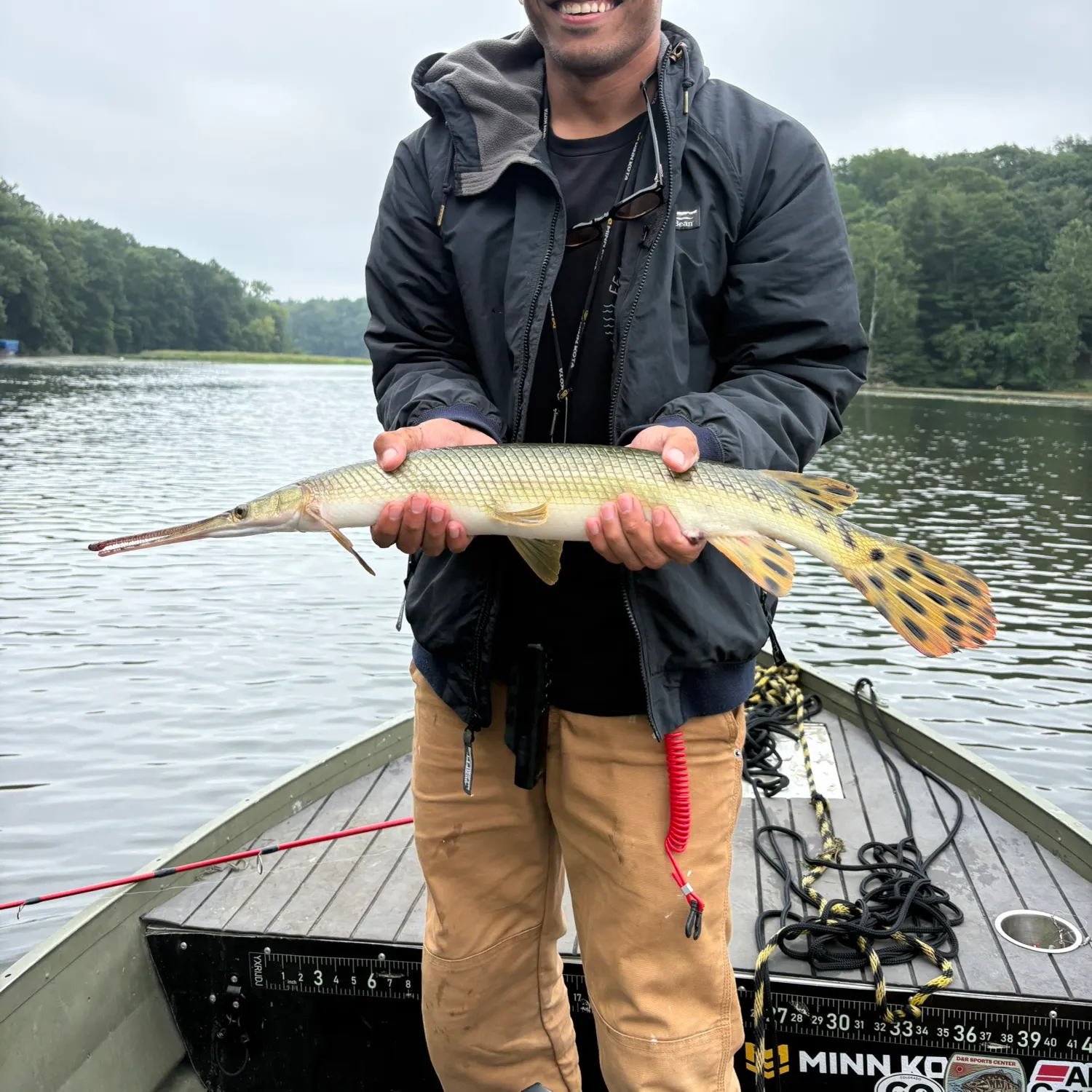 Longnose gar caught on Fishbrain