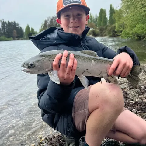 Rainbow trout caught on Fishbrain