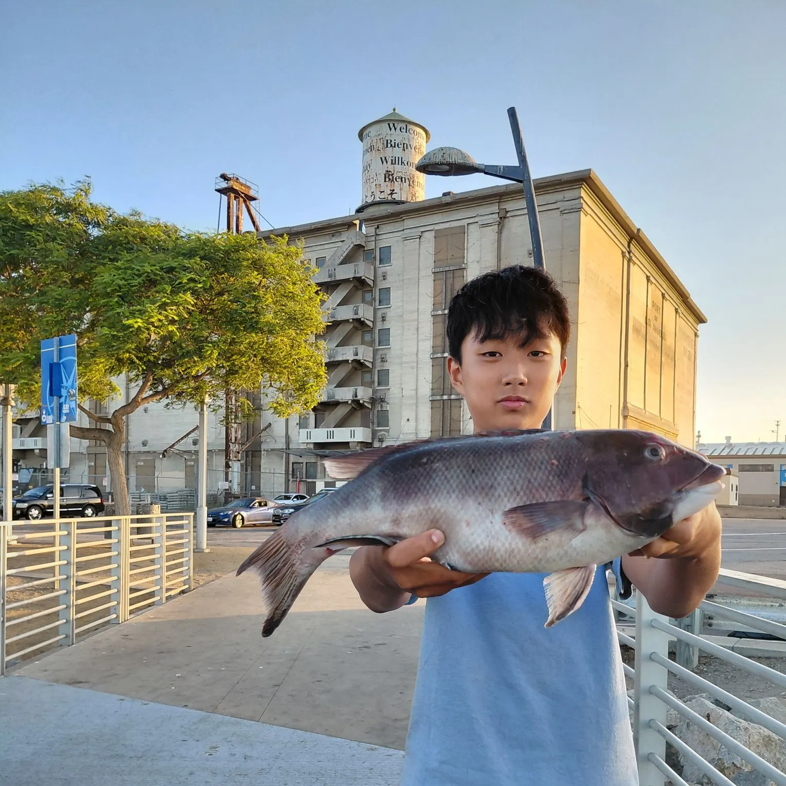 catch
