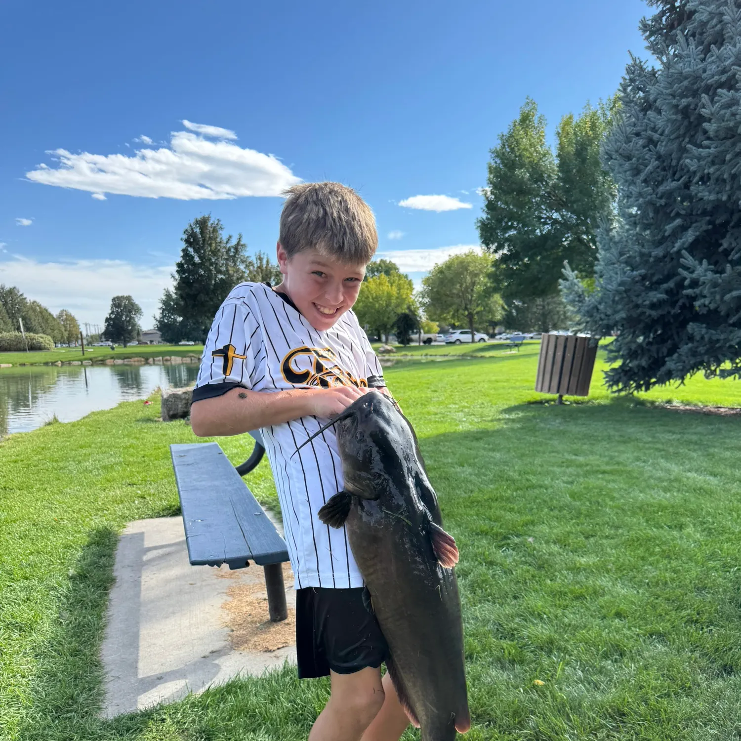 Channel catfish caught on Fishbrain