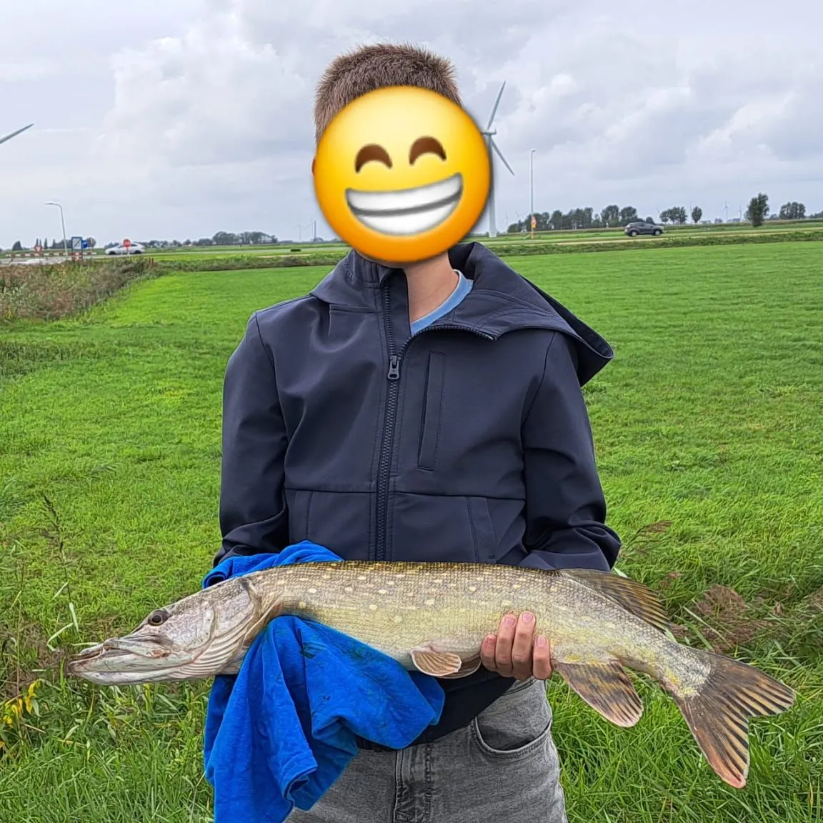 Northern pike caught on Fishbrain