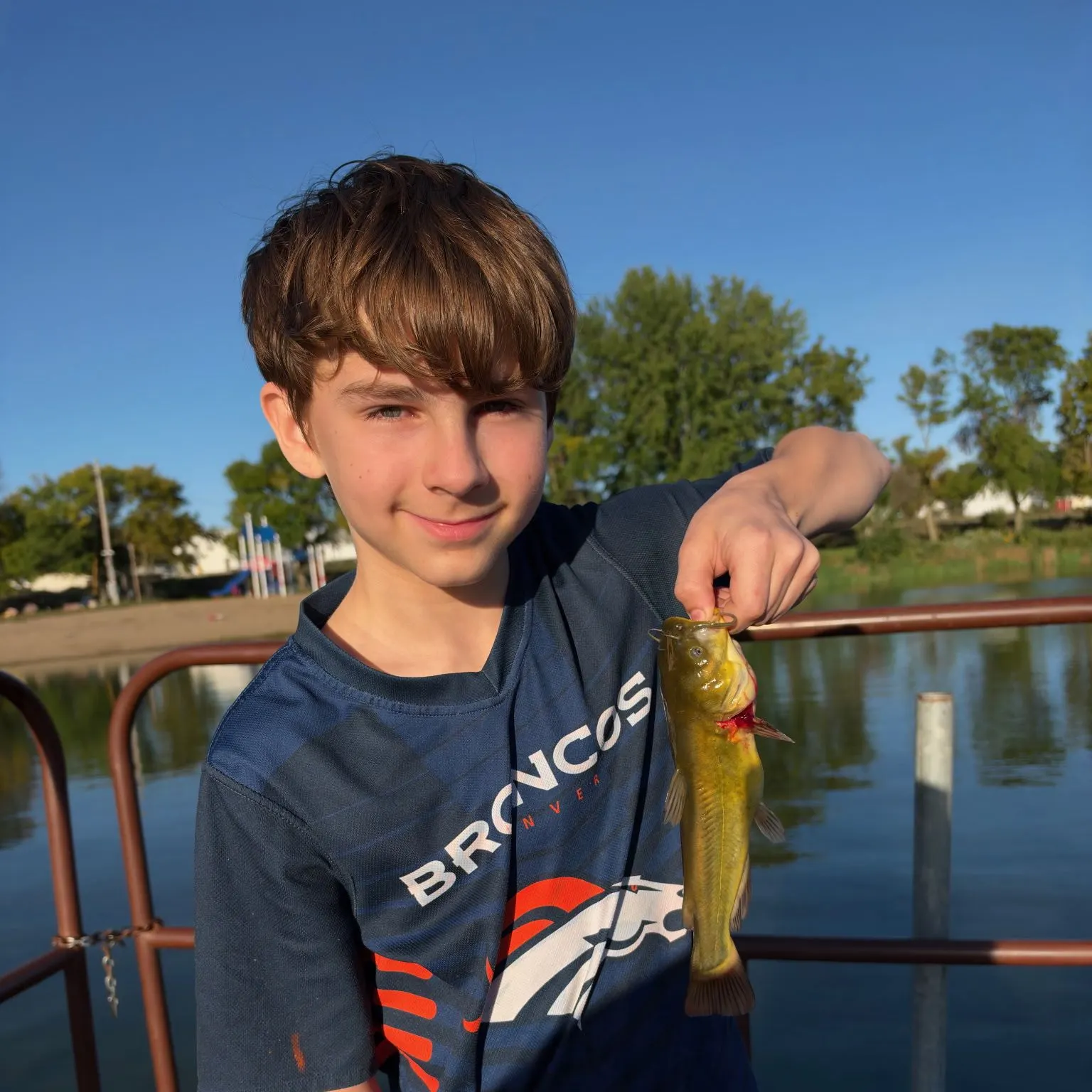 Yellow bullhead caught on Fishbrain
