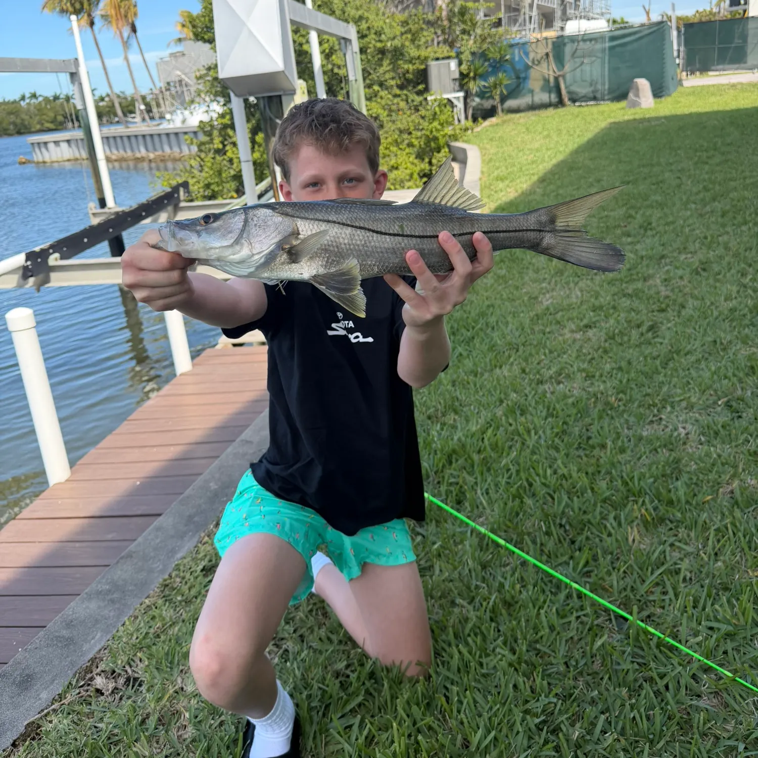 The most recent Common snook catches on Fishbrain