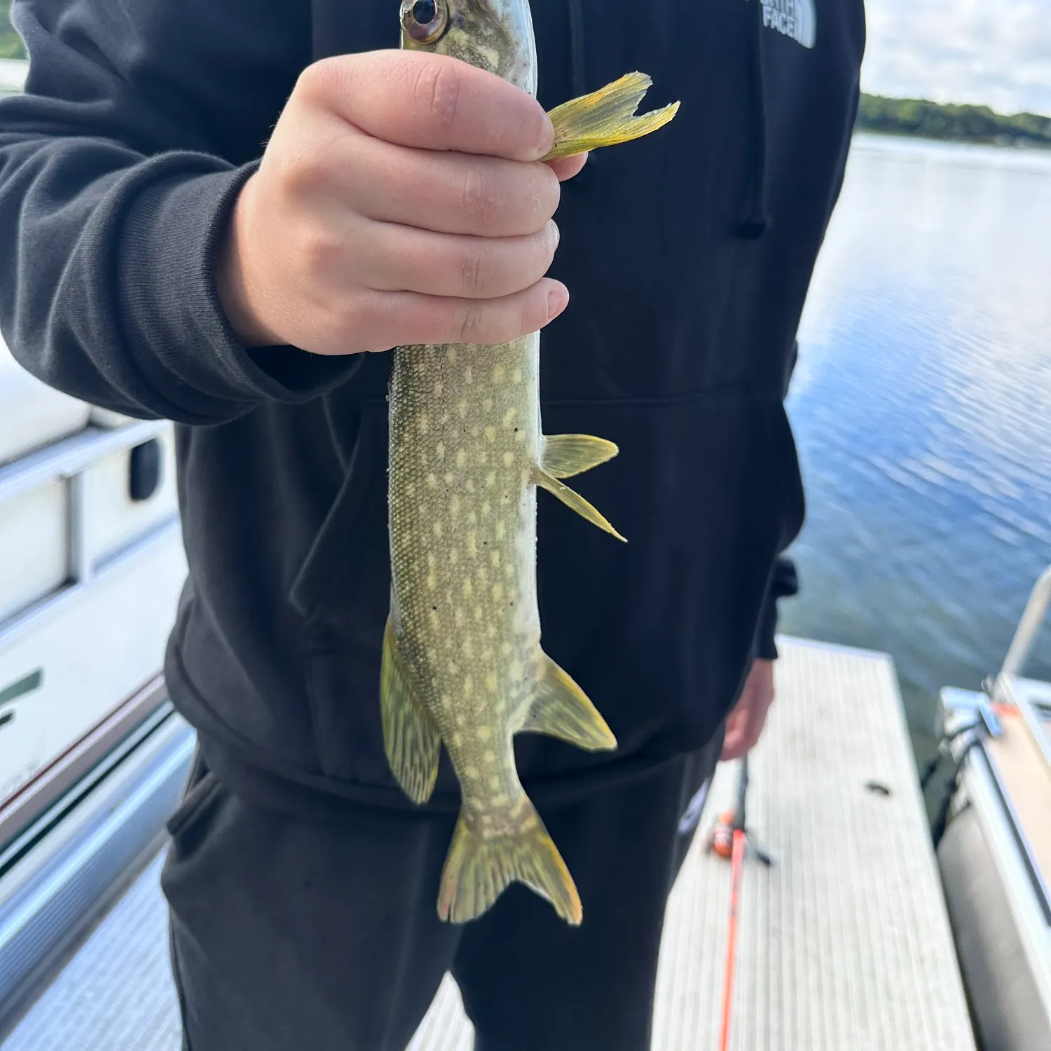 Northern pike caught on Fishbrain