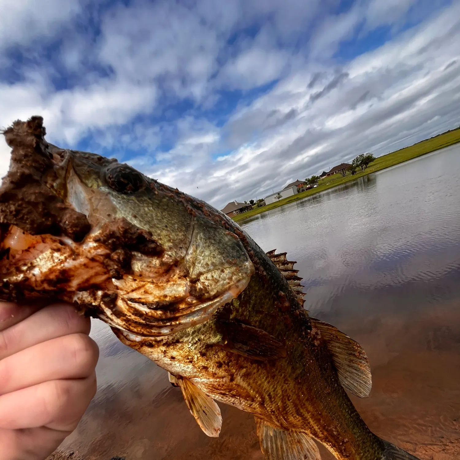 Fish caught on Fishbrain