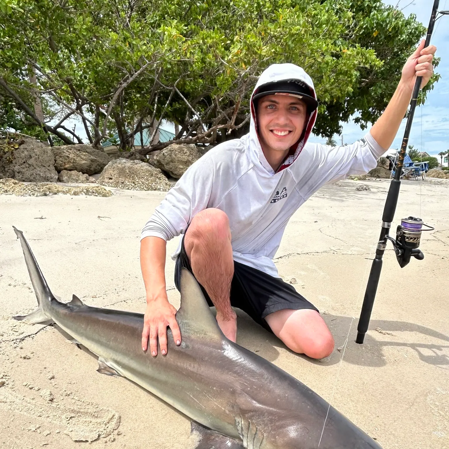 The most recent Spinner shark catches on Fishbrain