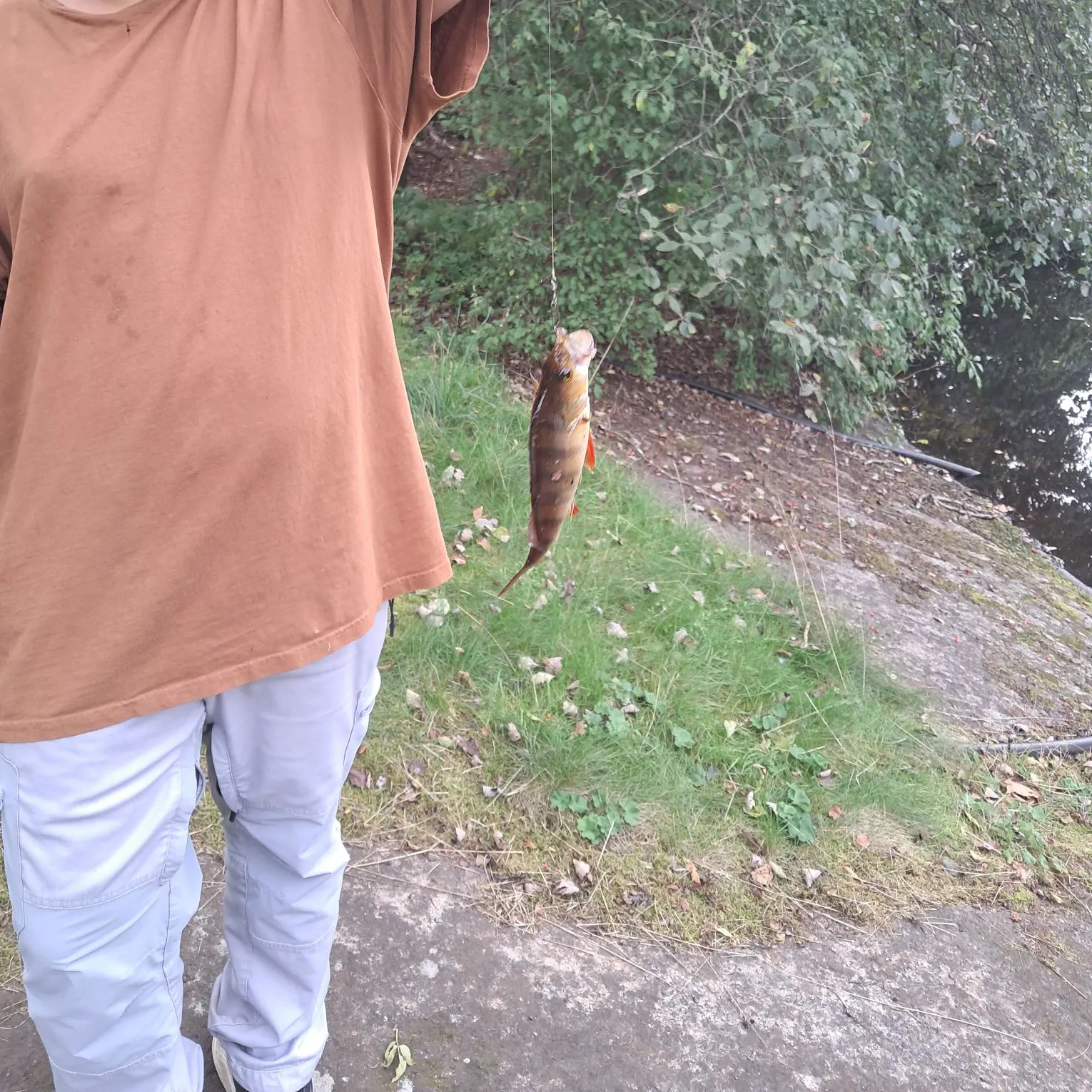 Fish caught on Fishbrain