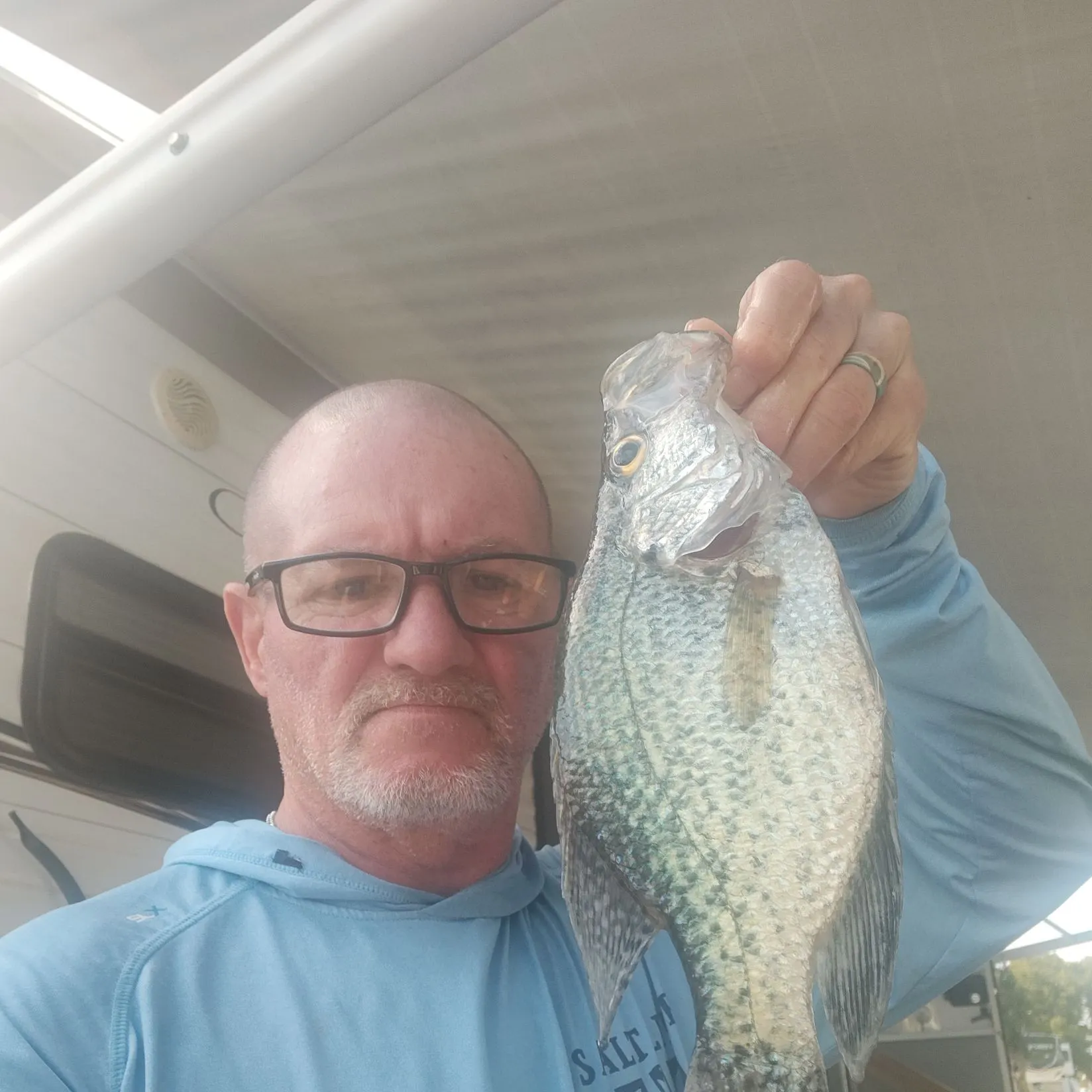 The most recent Black crappie catches on Fishbrain